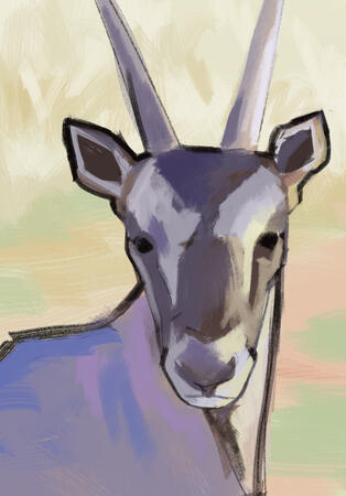 Rough digital painting study of a gemsbok (2023)